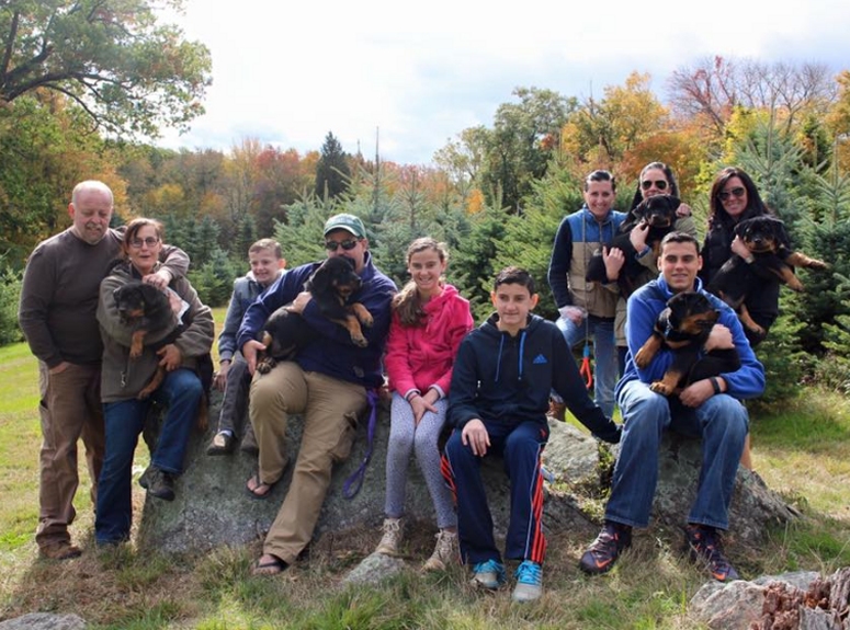 Yellow - Click for Larger View Bubba X Daisy puppy owners Oct 18 2015 12 wks